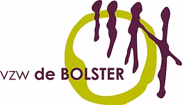 VZW De Bolster logo